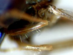 RZ000020_2011-10-23 21-44-02.jpg (24.17 KiB) Obejrzany 21464 razy RZ000020_2011-10-23 21-44-02.jpg