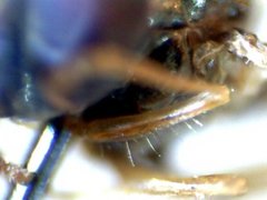 RZ000020_2011-10-23 21-43-17.jpg (25.25 KiB) Obejrzany 21039 razy RZ000020_2011-10-23 21-43-17.jpg