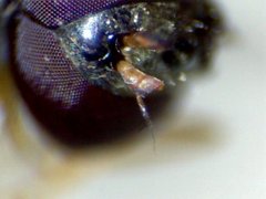 RZ000019_2011-10-23 21-23-37.jpg (27 KiB) Obejrzany 21937 razy RZ000019_2011-10-23 21-23-37.jpg