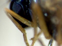 RZ000019_2011-10-23 21-20-00.jpg (21.88 KiB) Obejrzany 21929 razy RZ000019_2011-10-23 21-20-00.jpg