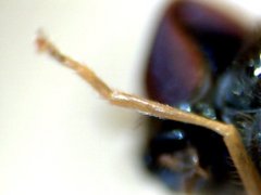 RZ000018_2011-10-23 20-53-36.jpg (18.16 KiB) Obejrzany 21990 razy RZ000018_2011-10-23 20-53-36.jpg