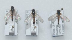 _RZ000018-RZ000020_DSC_0221.jpg (93.73 KiB) Obejrzany 21990 razy _RZ000018-RZ000020_DSC_0221.jpg