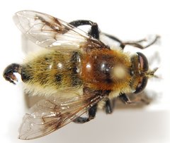 CSC_5021.JPG (675.99 KiB) Obejrzany 24845 razy CSC_5021.JPG