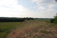 DSC_0386.JPG