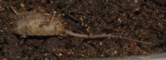 DSC_0219.jpg