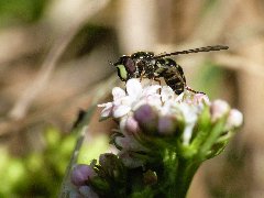 P1080283.JPG (3.35 MiB) Obejrzany 6308 razy P1080283.JPG