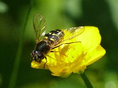 P1110782.JPG (3.35 MiB) Obejrzany 6366 razy P1110782.JPG