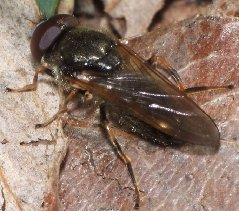 DSCF4239.jpg (89.43 KiB) Obejrzany 33591 razy DSCF4239.jpg