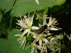 DSC09959.JPG