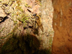 DSC08339.JPG