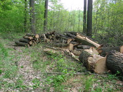 DSC06476.JPG (3.16 MiB) Obejrzany 17455 razy DSC06476.JPG