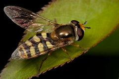 IMG_7030.jpg (121.22 KiB) Obejrzany 18066 razy IMG_7030.jpg