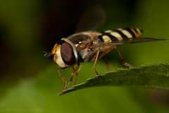 IMG_7017.jpg (328.51 KiB) Obejrzany 18091 razy IMG_7017.jpg