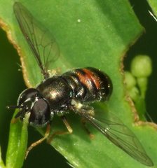 DSCF7587.jpg (74.58 KiB) Obejrzany 6693 razy DSCF7587.jpg